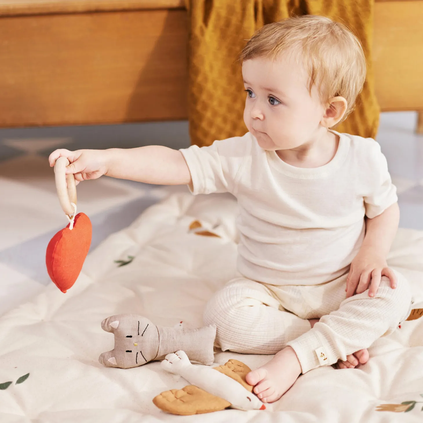 Meri legemadras, songbirds