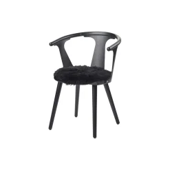 Newzealandsk langhåret lammeskindshynde, black