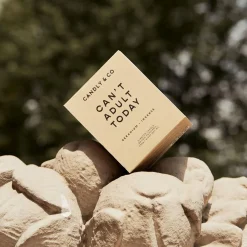 No. 1 Candle, Can't adult today