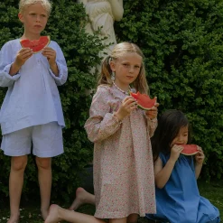 Noey Dress, pink betsy