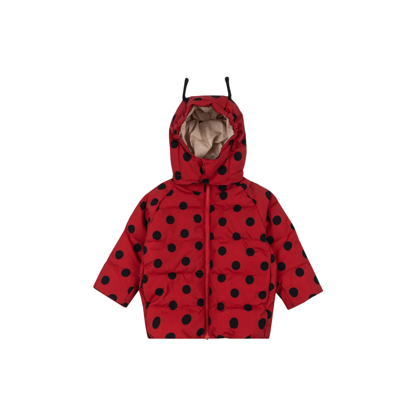 Nuka Ladybug Jacket, lady dot