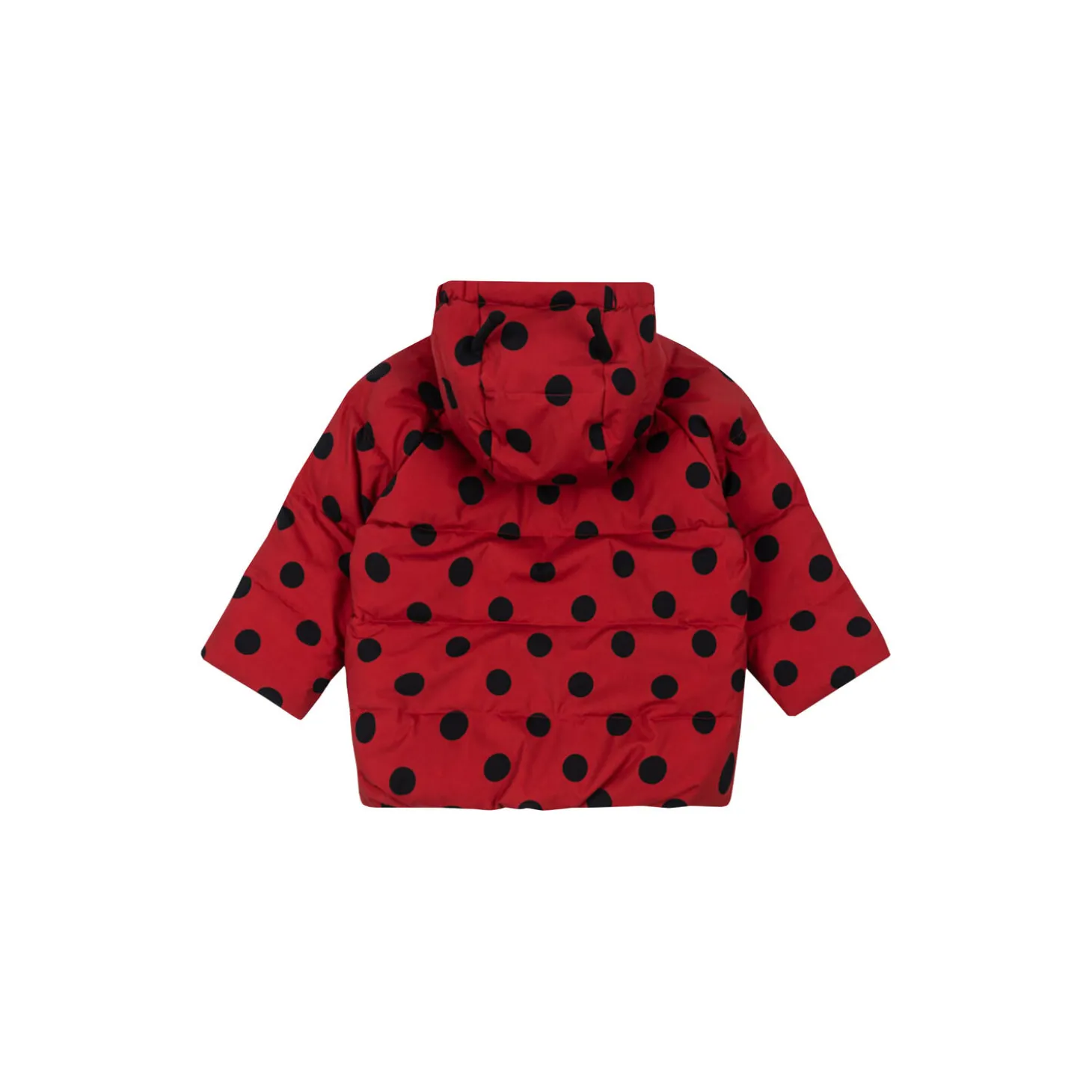 Nuka Ladybug Jacket, lady dot
