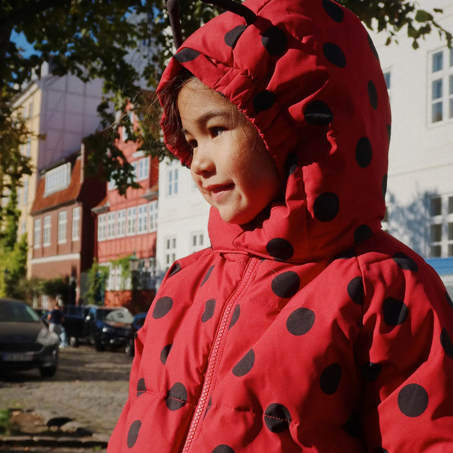 Nuka Ladybug Jacket, lady dot