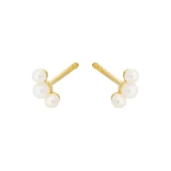 Ocean Pearl ørestikker, guld