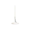 Petalii 1 Pendant, polished brass