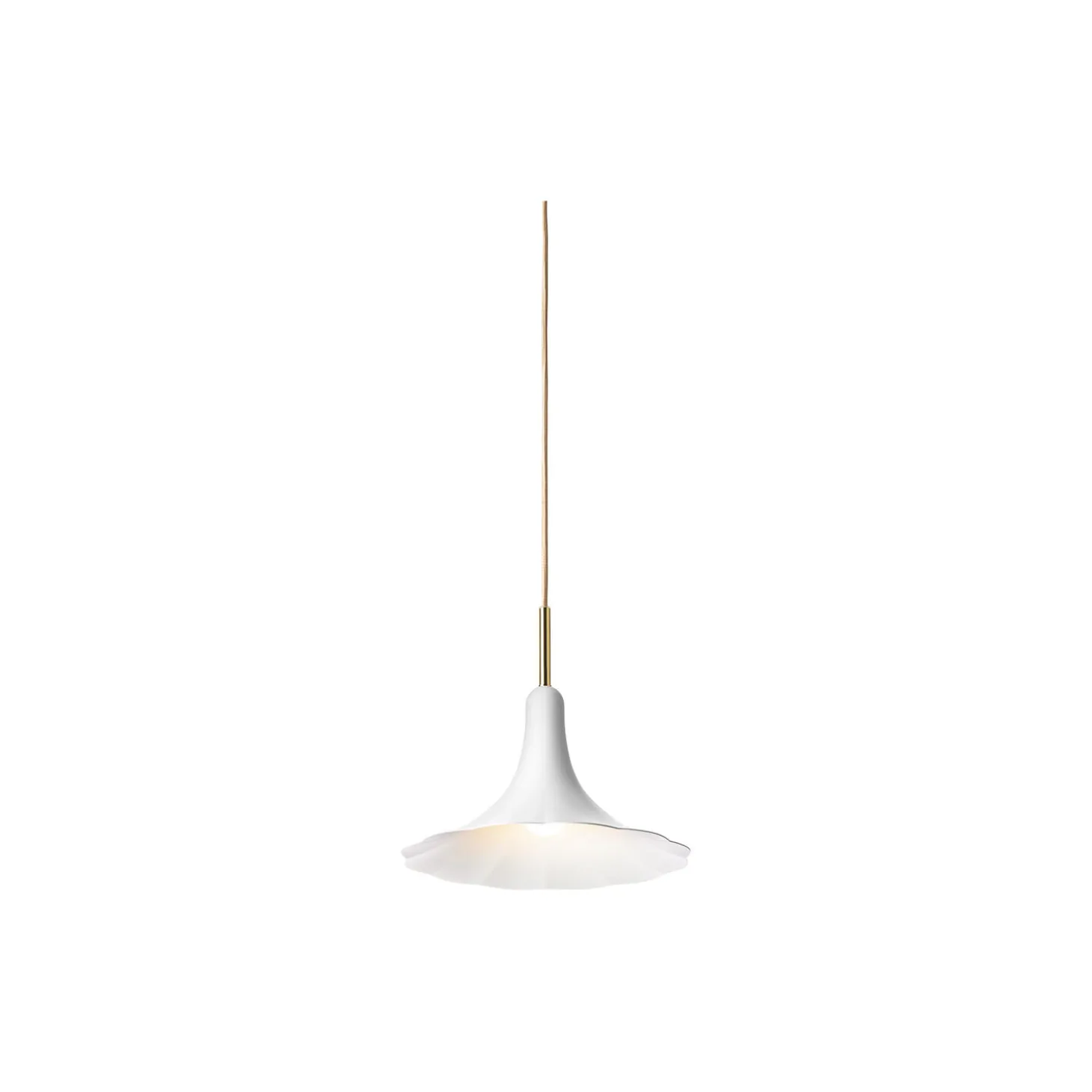 Petalii 1 Pendant, polished brass