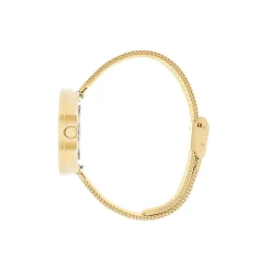 PICTO armbåndsur, cappuccino brown/gold/matt gold