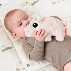 Pigee krammedyr, powder