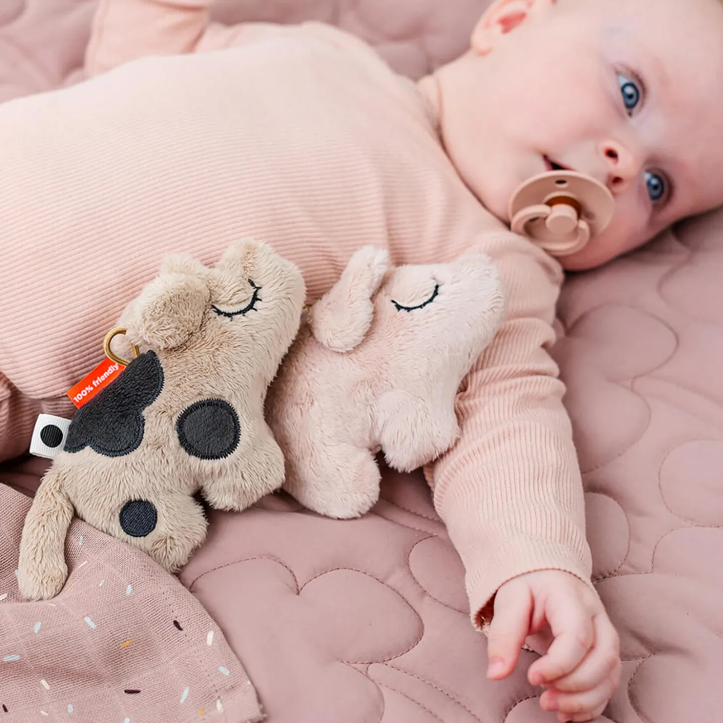 Pigee rangle, powder