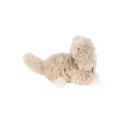 Pilou Kitty, multi