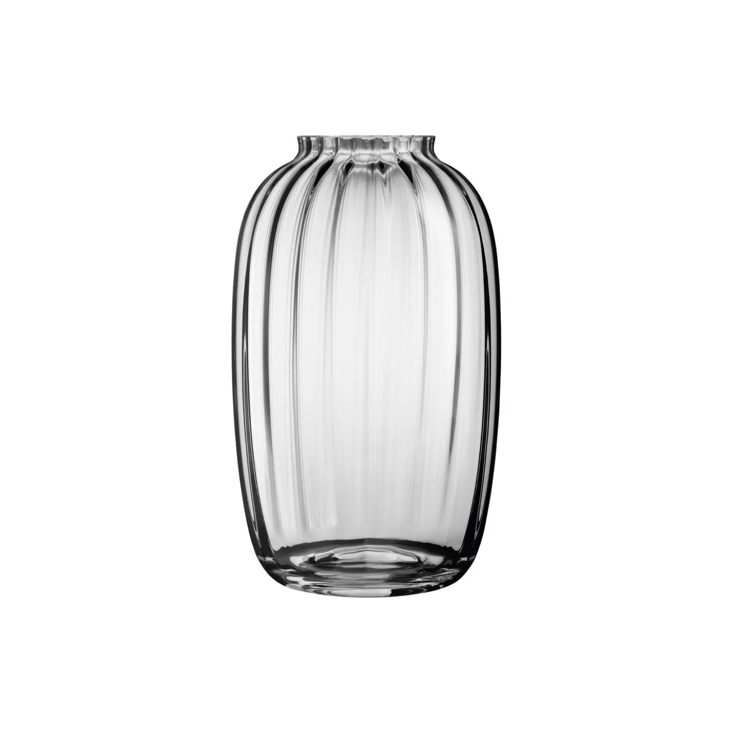 Primula vase