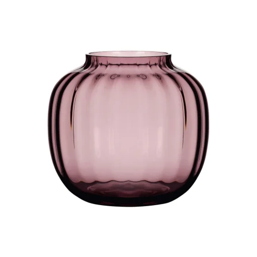 Primula vase, blomme