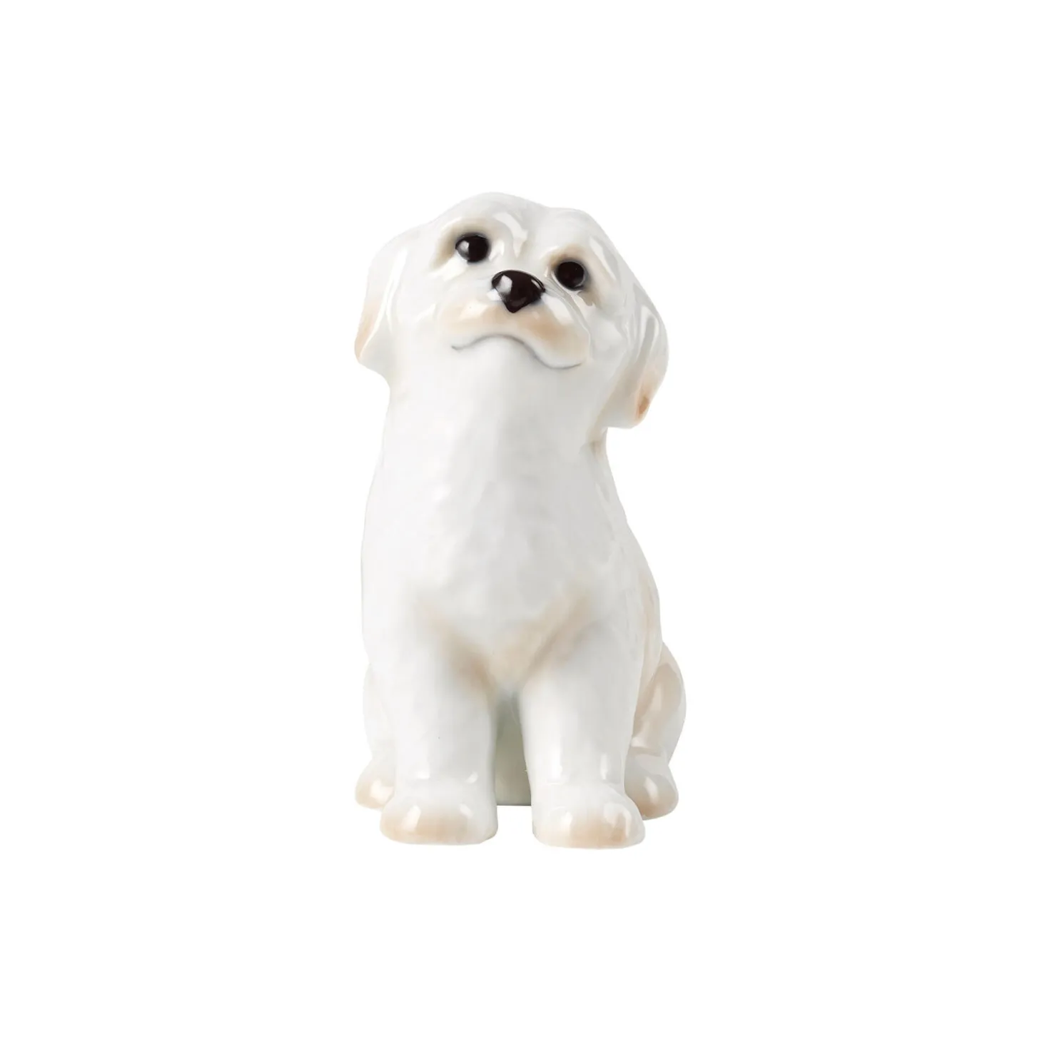 Årsfigur 2024: Hund