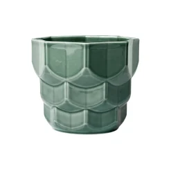 Samsurium blomsterkrukke, spruce