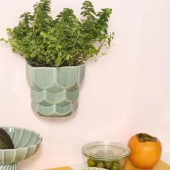 Samsurium væghængt potteskjuler, eucalyptus