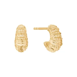 Seashell Secrets øreringe, forgyldt sølv