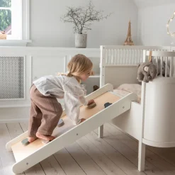 Sebra 2-i-1 klatre- og rutsjebane