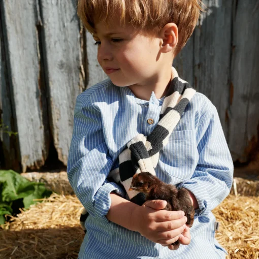 Shirt Bjørk, 1048 blue stripe