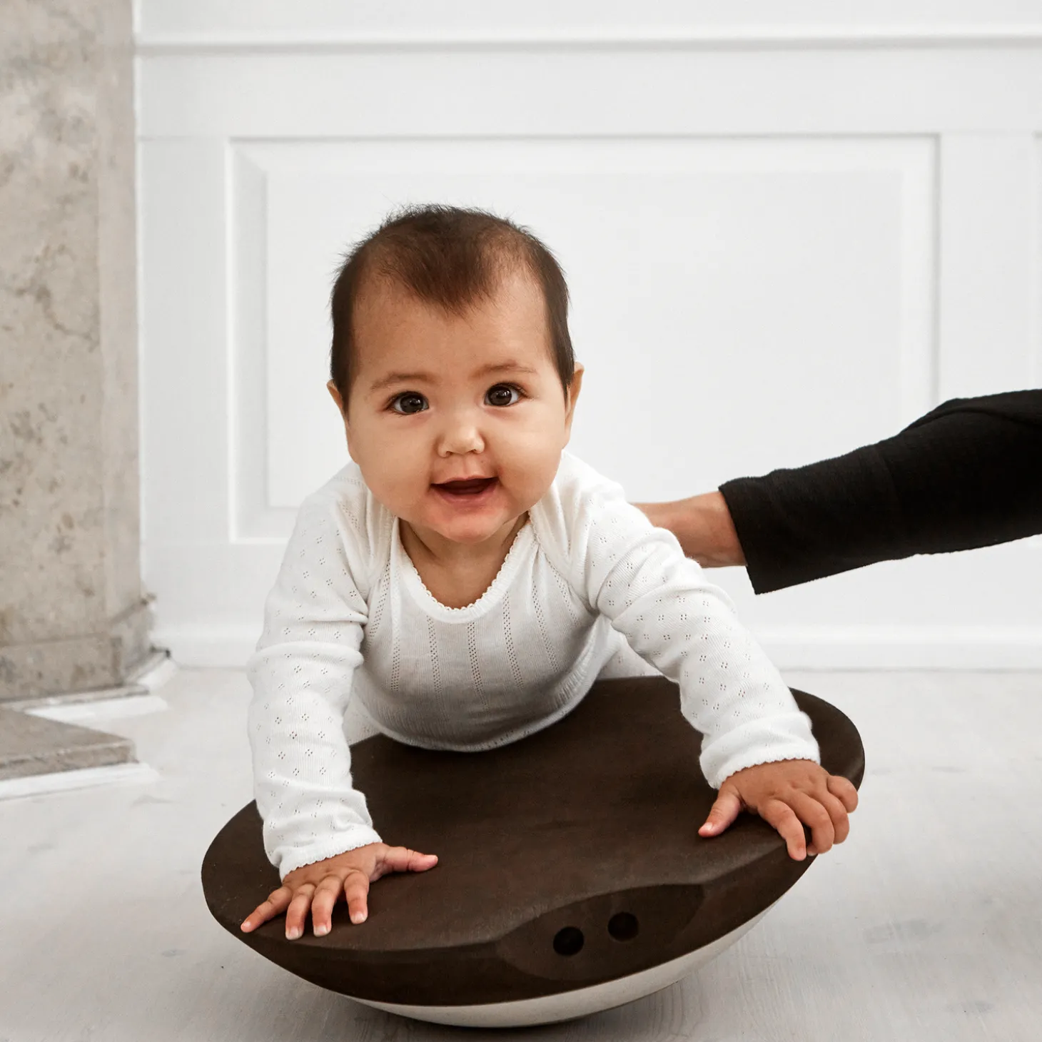 Skildpadde, sand grey