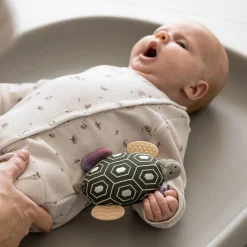 Skildpadden Turbo aktivitetsrangle med spejl