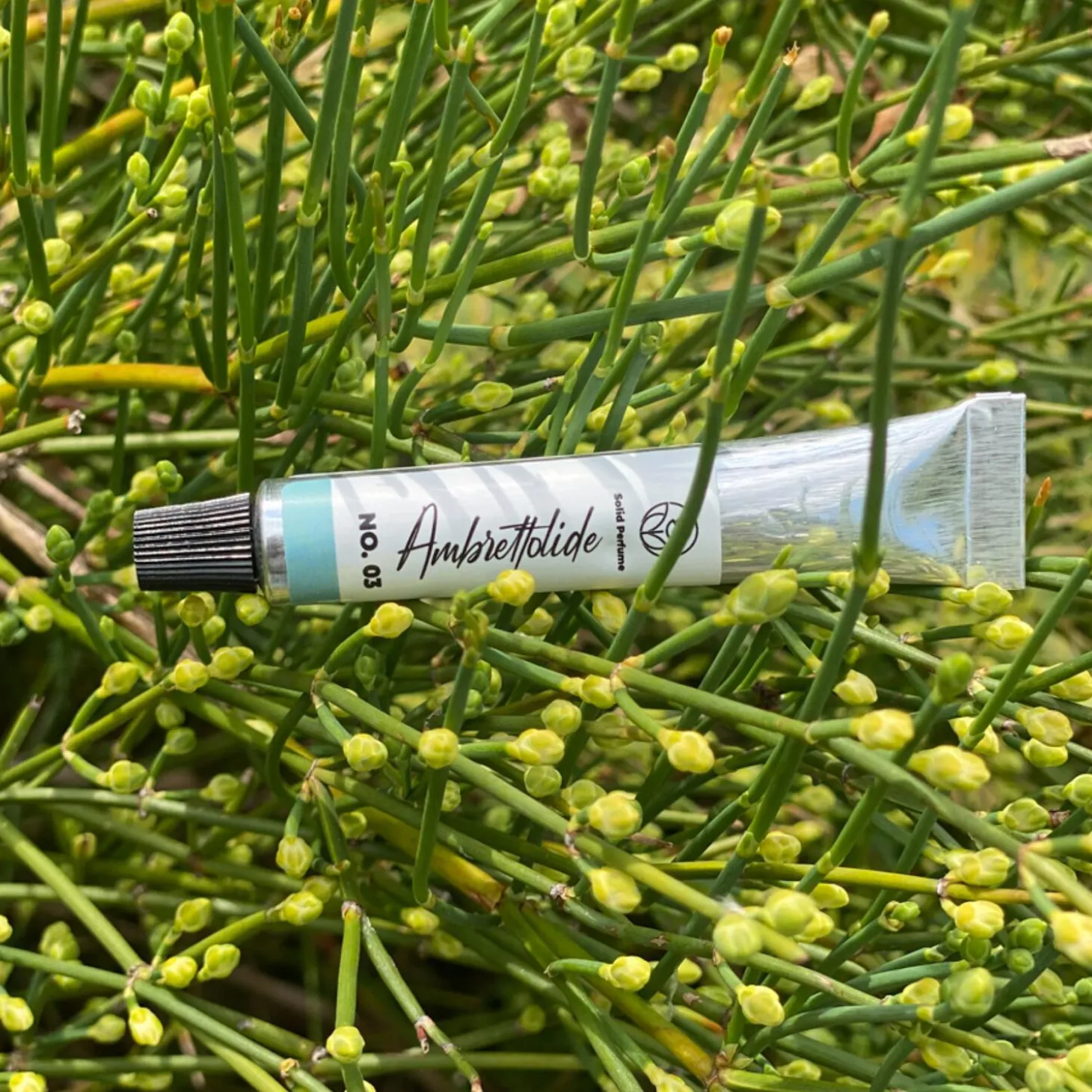 Solid parfume - Ambrettoloide No. 03