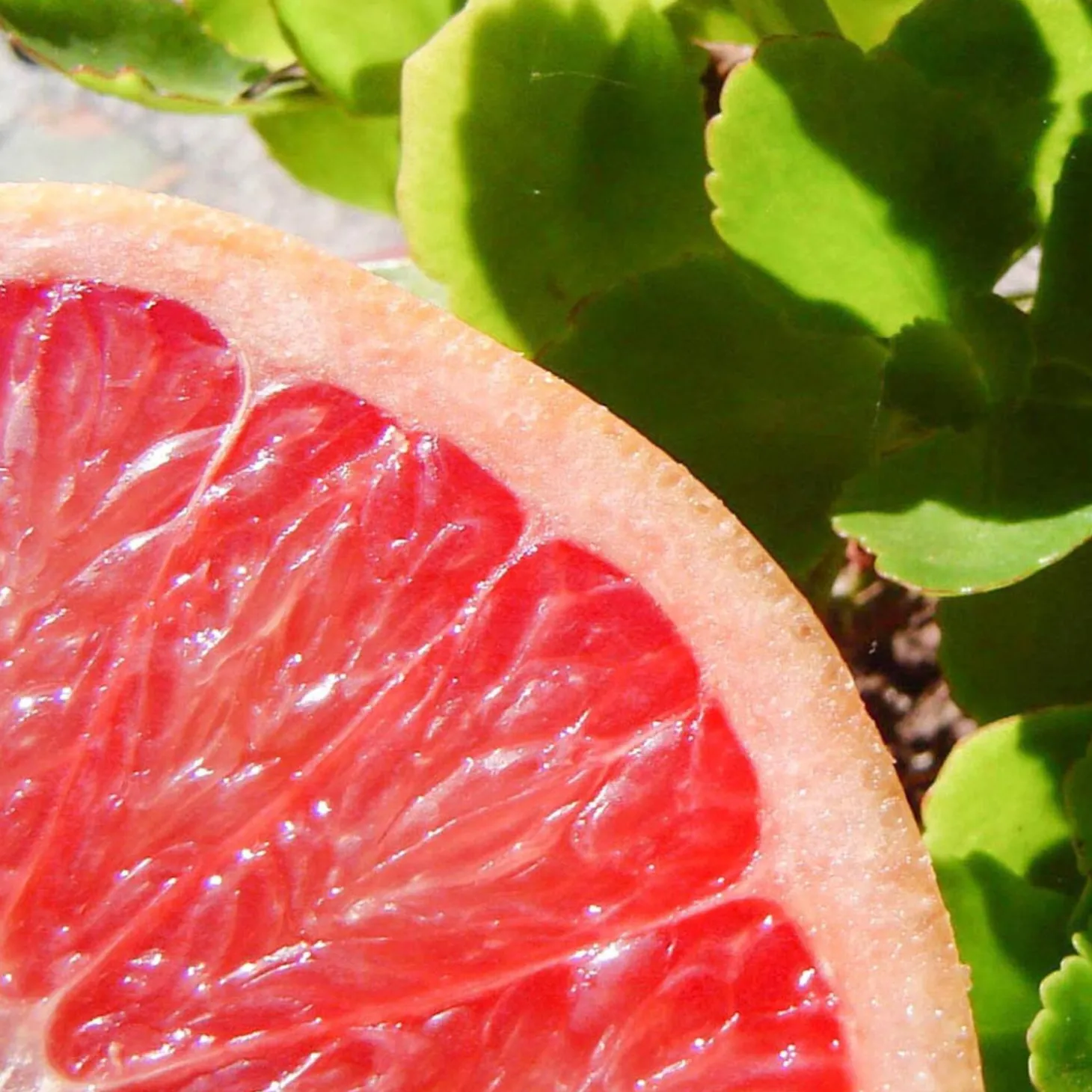 Solid parfume - Pink grapefruit No. 33