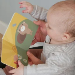 Teddys bog, multi colour