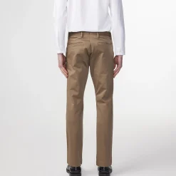 Theo 1420, shitake
