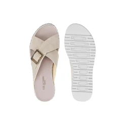 Tulip Criss Cross, atmosphere white