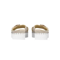 Tulip Criss Cross, atmosphere white