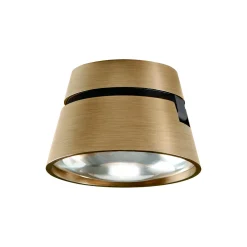 VANTAGE 1 spot, brass