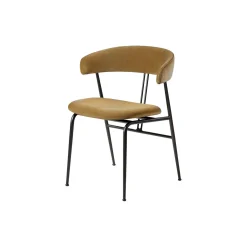 Violin Dining Chair, Velvet 294/black matt